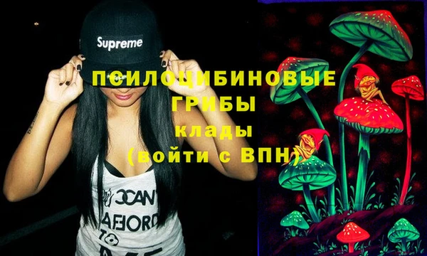 мескалин Каменка