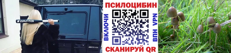 Псилоцибиновые грибы Psilocybine cubensis  Купить закладки  Лодейное Поле 